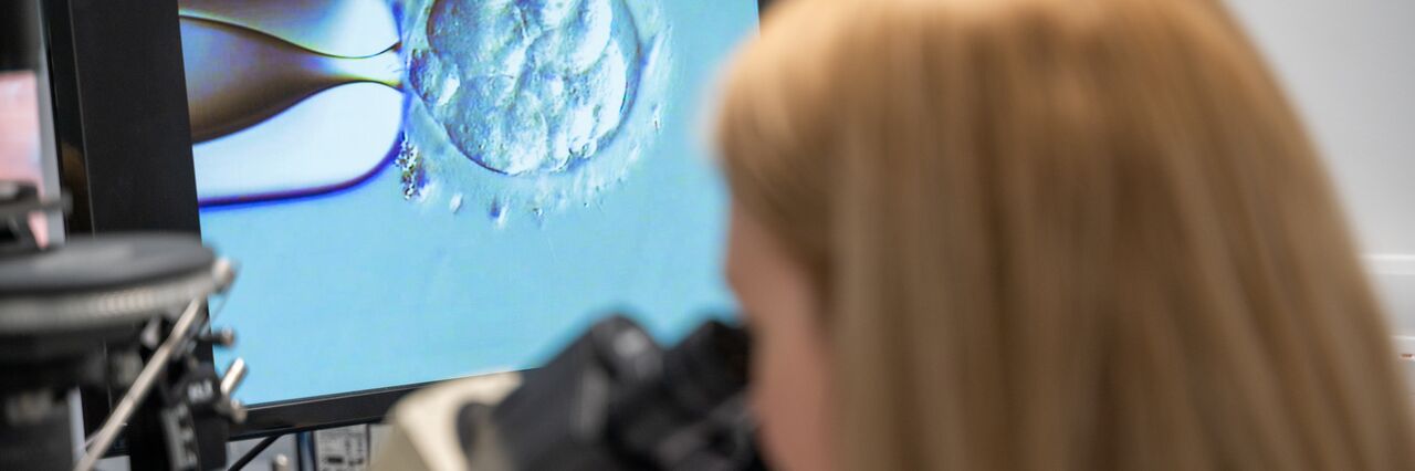 Selina Boardman embryology - Care Manchester lab with embryo on screen