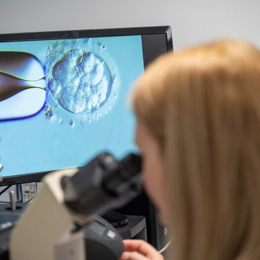 Selina Boardman embryology - Care Manchester lab with embryo on screen