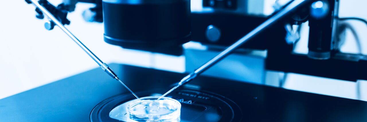 ICSI science rig - 2 needles pointing into a petri dish 