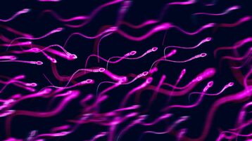 Sperm cells under microscope, tinted pink