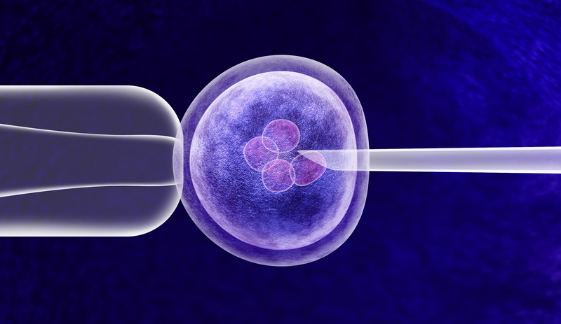 Gene editing in vitro genetic CRISPR genome engineering medical biotechnology health care concept with a fertilized human egg embryo and a group of dividing cells as a 3D illustration.