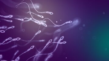 Sperm cells 
