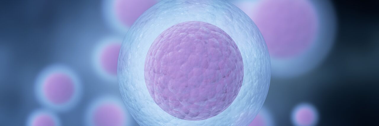 Human egg cells with purple centre and blue outer 