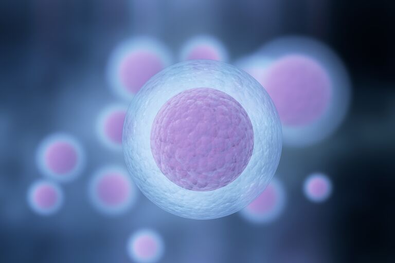Human egg cells with purple centre and blue outer 