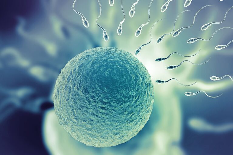 sperm swimming towards an egg to fertilise 
