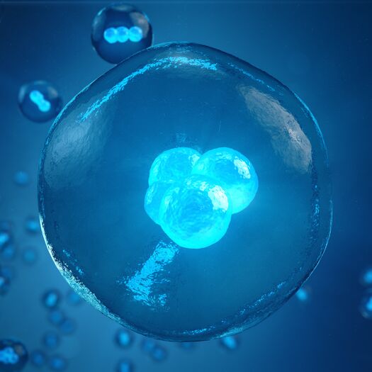 Blue egg cell 