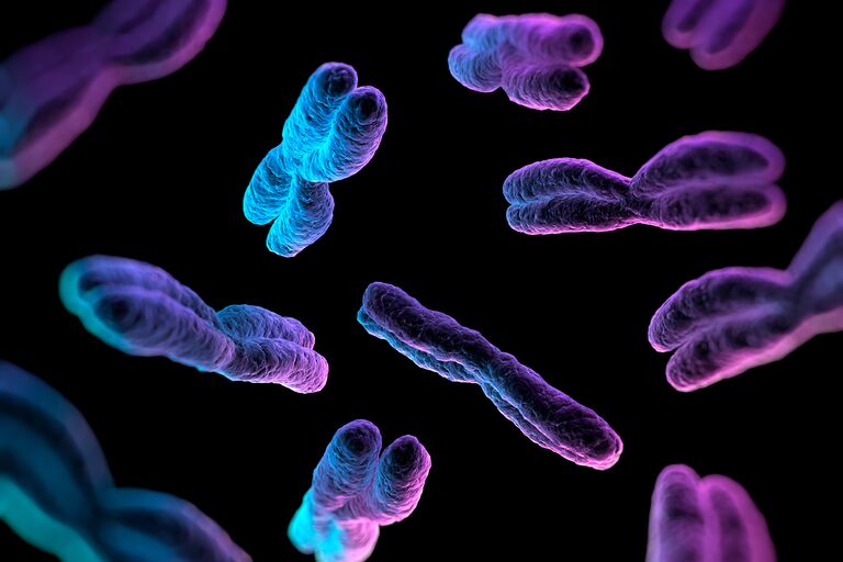Blue and purple chromosomes on black background
